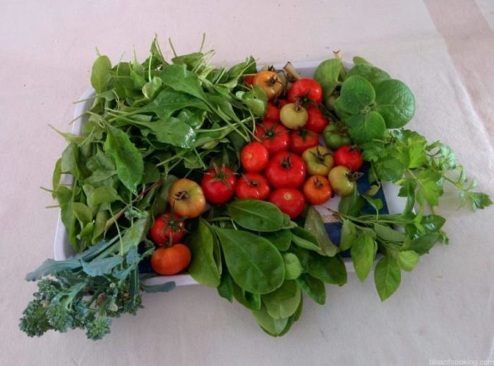 Balcony Gardening, Produce of the day, Organic Herbs & Vegetables